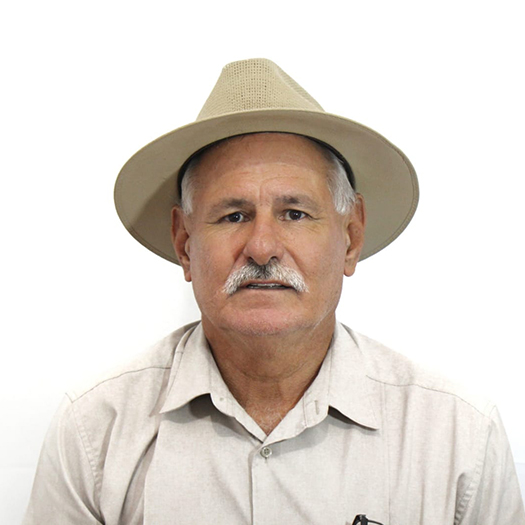 Sergio Bustamante Flores