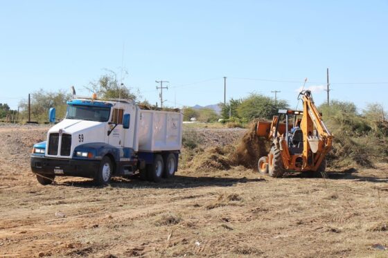 Continúan labores de limpieza y reforestación en Caborca