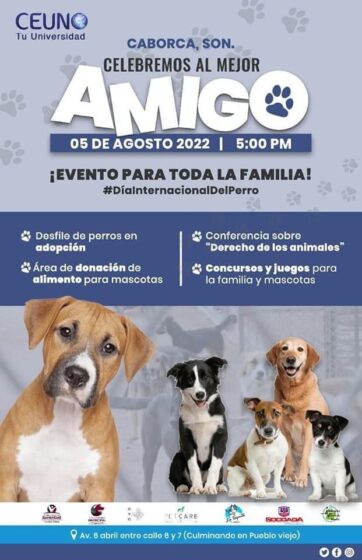 Se celebrará el Día Internacional del Perro con gran evento familiar.